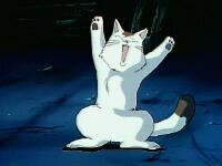 Tama