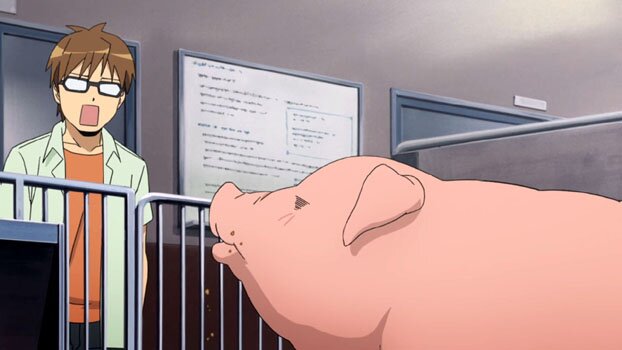 Gin no Saji