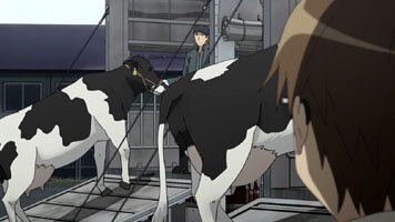 Abtransport