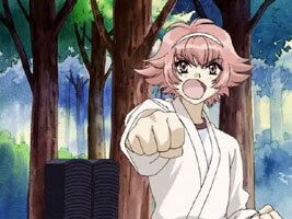 Himeno �bt Karate