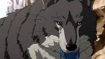 der Wolf durchkreuzt die Pl�ne der J�ger