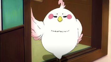 Mochimazzui Dera
