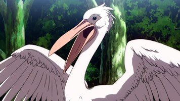 Peliko