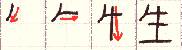 umareru